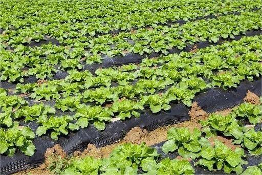 u=3827665142,1342779517&fm=173&app=49&f=JPEG.jpg u=3827665142,1342779517&fm=173&app=49&f=JPEG.jpg