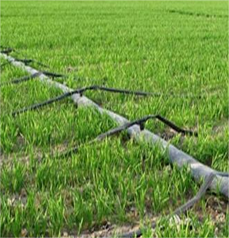 a89b8666981555ed(1).png a89b8666981555ed(1).png