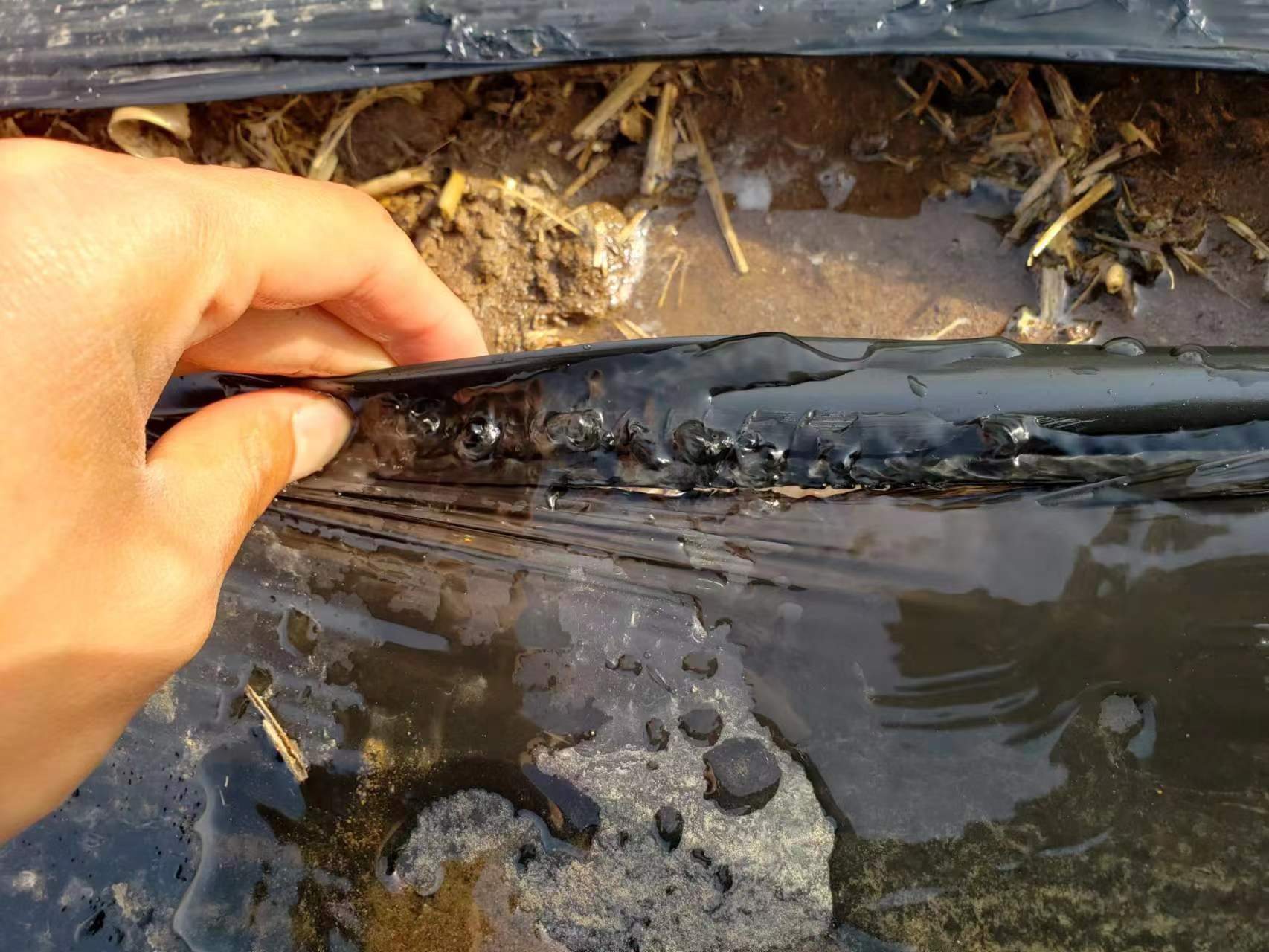 微信圖片_20230325173328.jpg 微信圖片_20230325173328.jpg