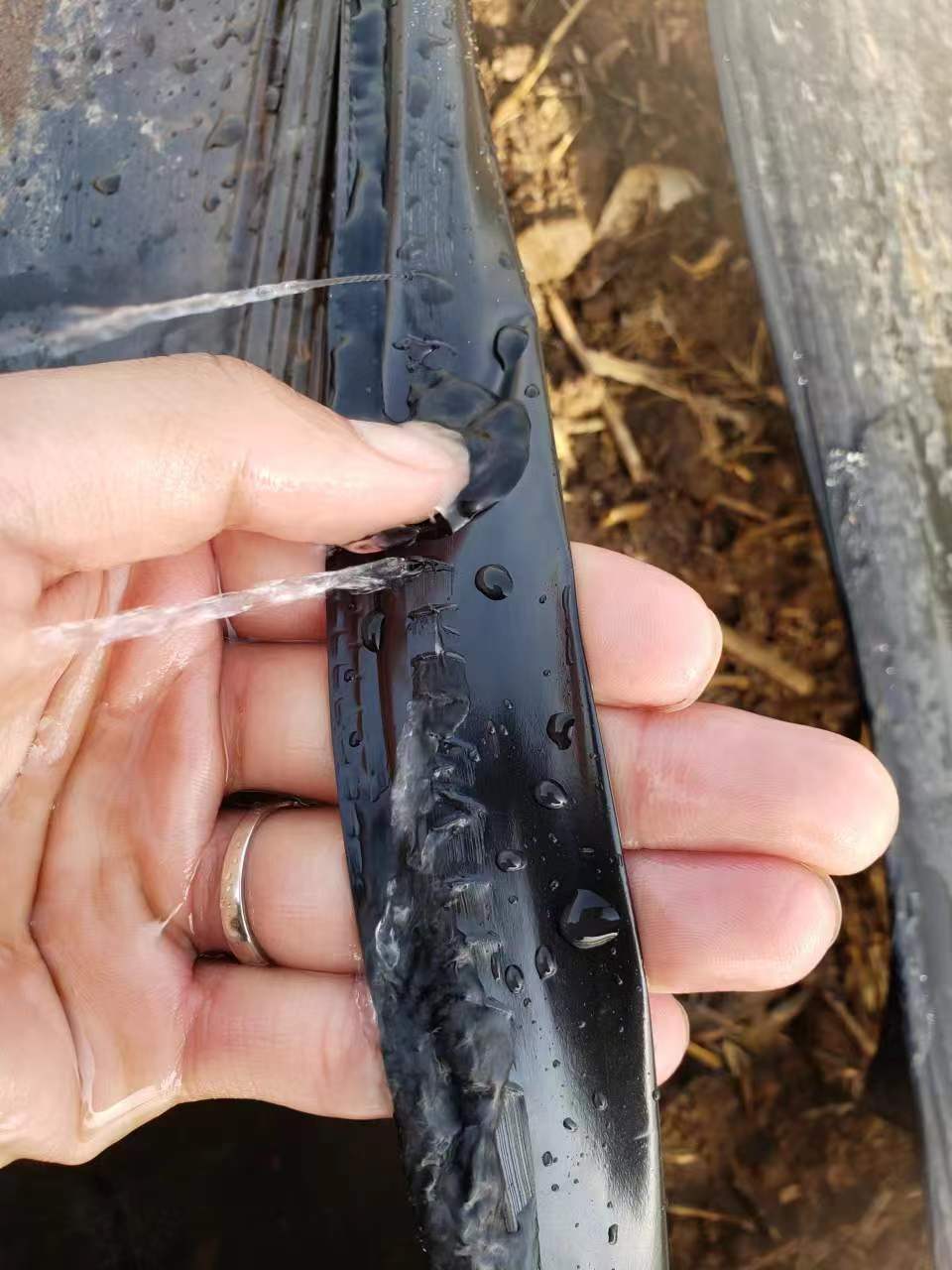 微信圖片_20230325173323.jpg 微信圖片_20230325173323.jpg