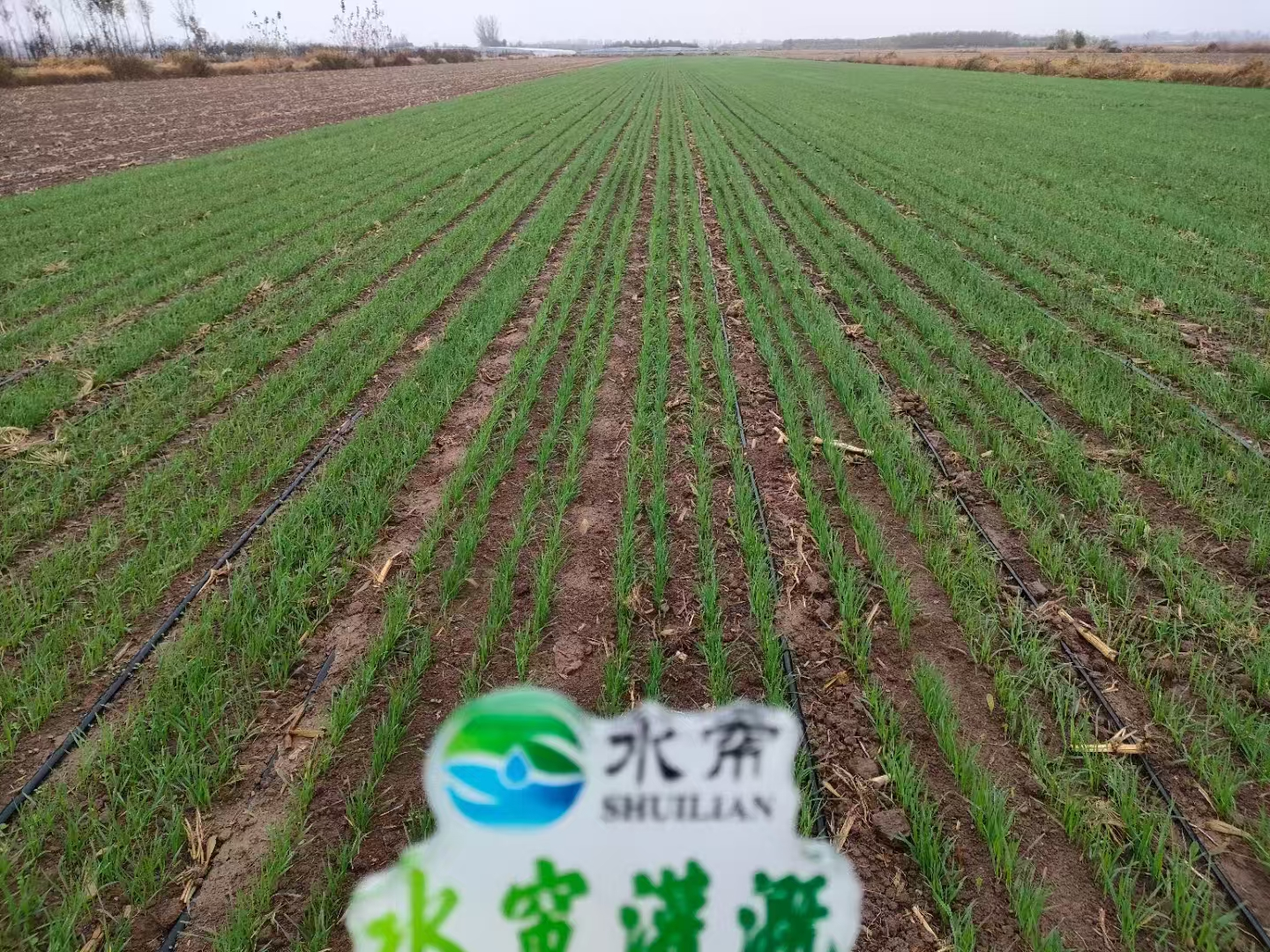 圖片2.png 圖片2.png