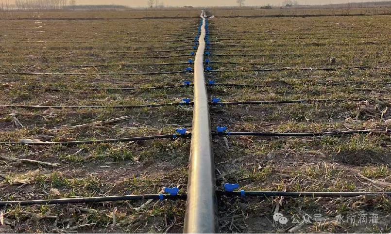 f2ac2b20ff262172a011fa7645ce3dac_640_wx_fmt=png&from=appmsg&watermark=1&tp=webp&wxfrom=5&wx_lazy=1#imgIndex=13.png f2ac2b20ff262172a011fa7645ce3dac_640_wx_fmt=png&from=appmsg&watermark=1&tp=webp&wxfrom=5&wx_lazy=1#imgIndex=13.png